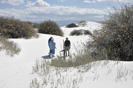 white sand dunes