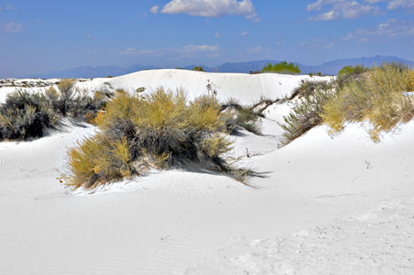 white sand dunes