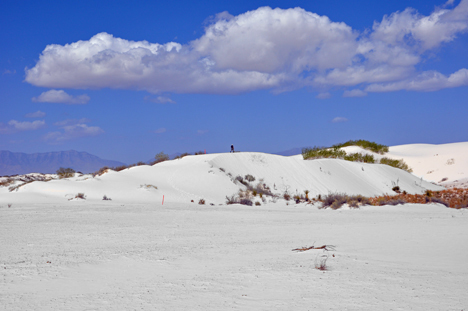 Lee wanders up the white sand hill