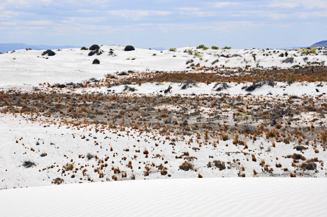 dunes