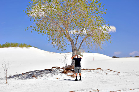 Lee photographing the tree