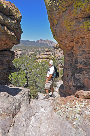 Lee admires the view