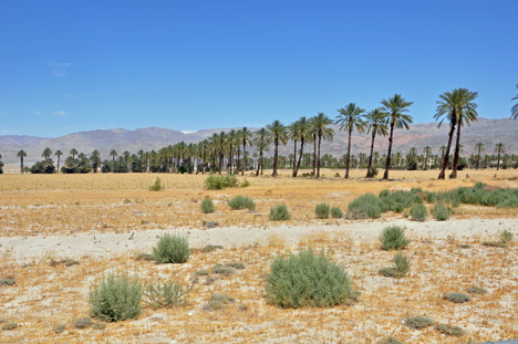 scenery while having lunch at a rest stop