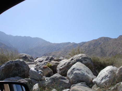 the view on the drive to the tram station