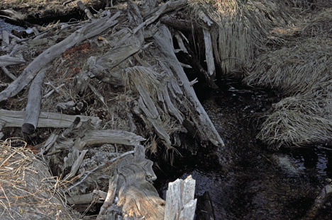 a small dam