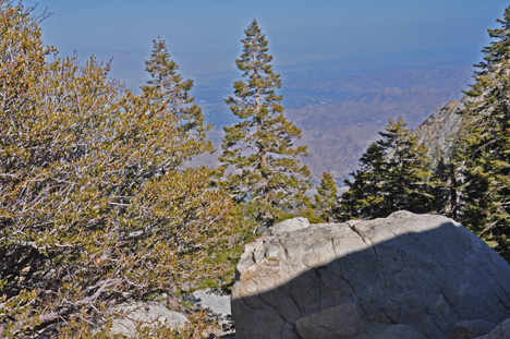 view from the top