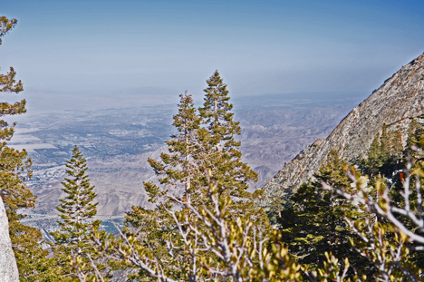 view from the top