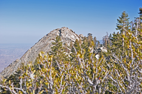 view from the top