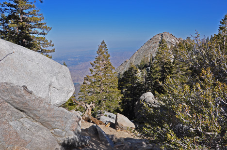 view from the top