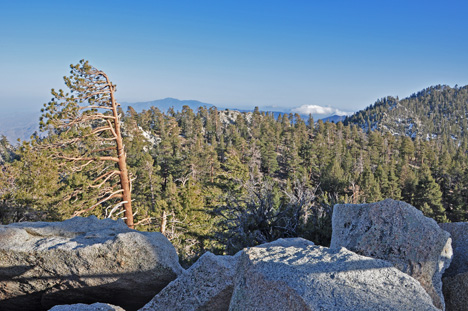view from the top