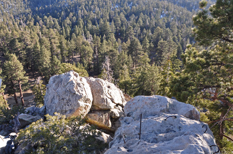 view from the top