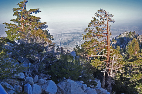 view from the top