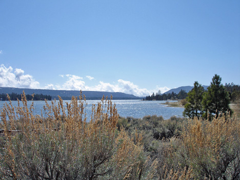 the beautiful lake