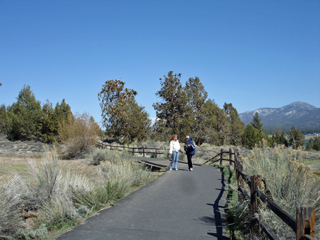 Karen & Ilse on the trail