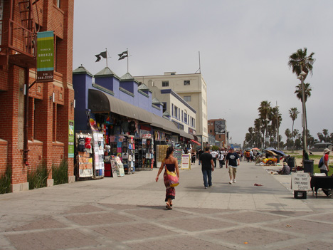 people on Venice Beach