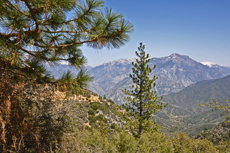 amazing scenery as we drove through Kings Canyon