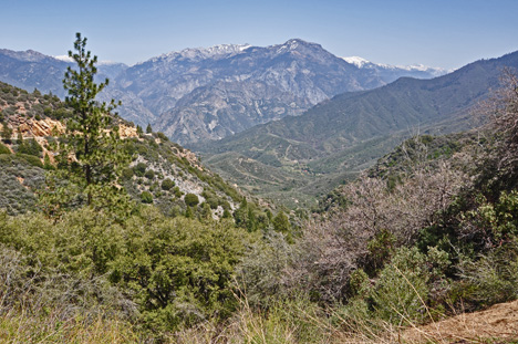 amazing scenery as we drove through Kings Canyon