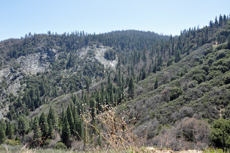 amazing scenery as we drove through Kings Canyon