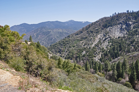 amazing scenery as we drove through Kings Canyon