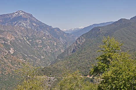 amazing scenery as we drove through Kings Canyon