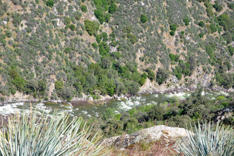 amazing scenery as we drove through Kings Canyon