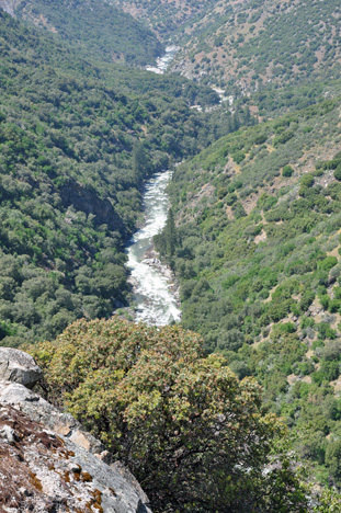 amazing scenery as we drove through Kings Canyon