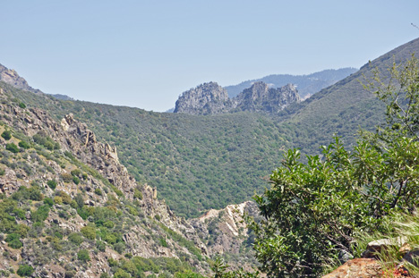 amazing scenery as we drove through Kings Canyon