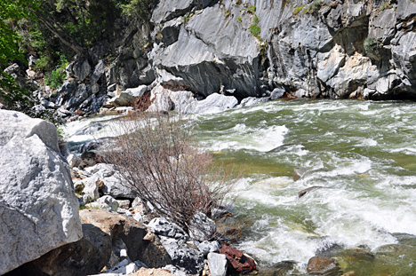 THE MERCED RIVER