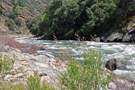 THE MERCED RIVER