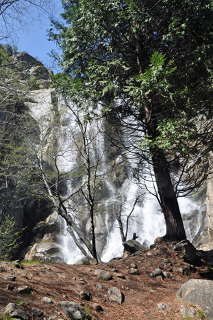 Grizzly Falls