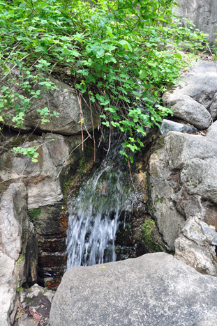 a very small spring at Sequoia National Park