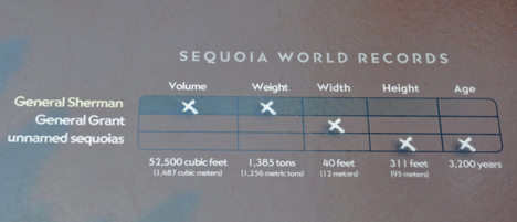sequoia world records sign
