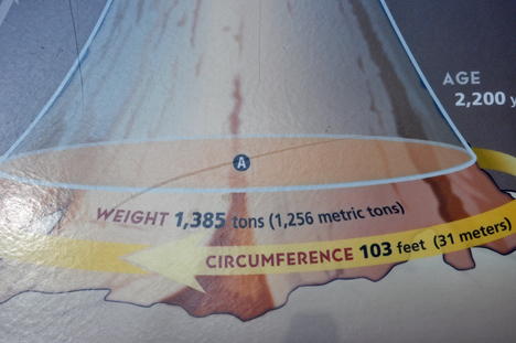 circumference and weight sign