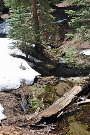 snow that has hardened into ice - beside a small steam of running water