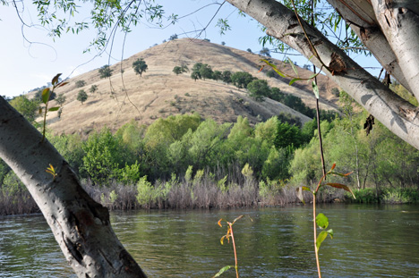 the mountain & river as seen from the beach 