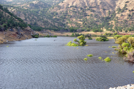 scenery at lake kaweah