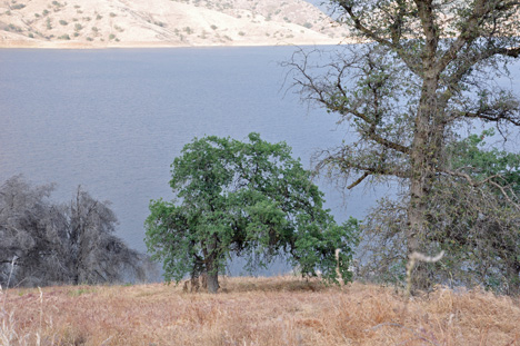 Kaweah lake scenery