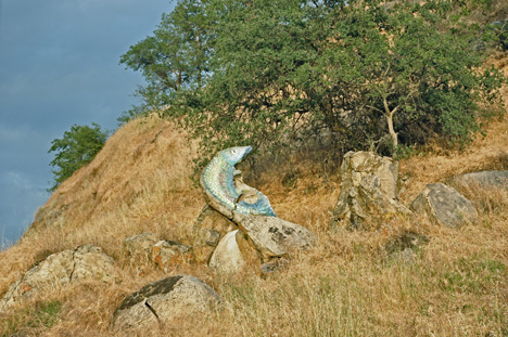 fish on the mountain