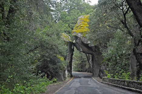 The road entering Yosemite National Park