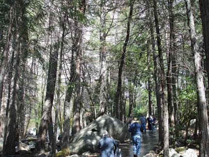 the beginning of the path to Bridalveil Fall