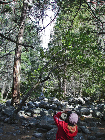 Karen at the bottom of Bridalveil Fall