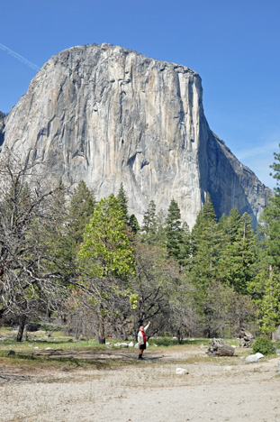 LEE is dwarfed by El Capitan