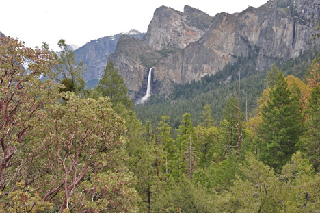 Views from our hike up Inspiration Trail 