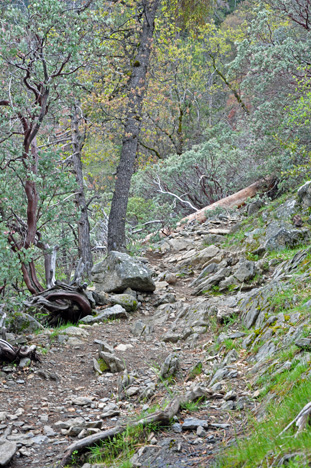 the rocky trail