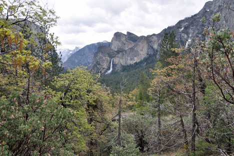 View from the trail