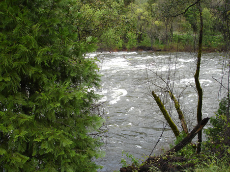 the Merced River