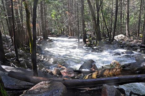 the Merced River