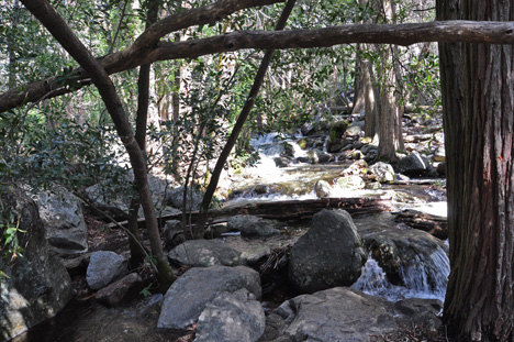 the Merced River