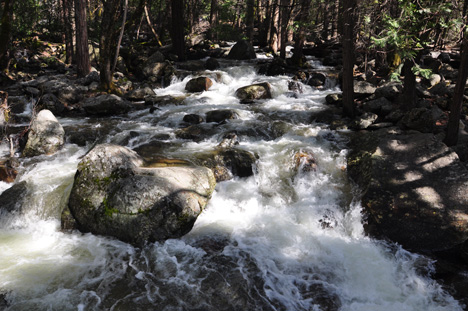 the Merced River