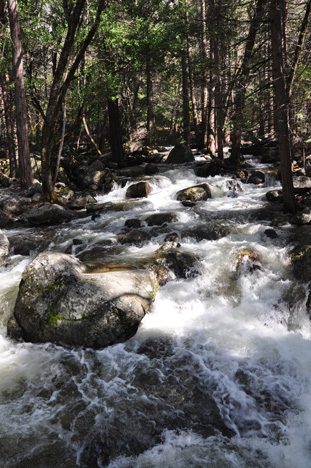 the Merced River